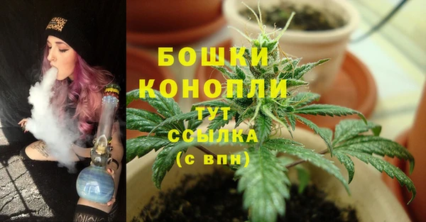 прущие крисы Похвистнево